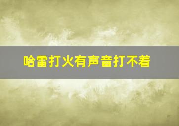 哈雷打火有声音打不着