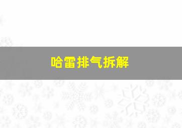 哈雷排气拆解