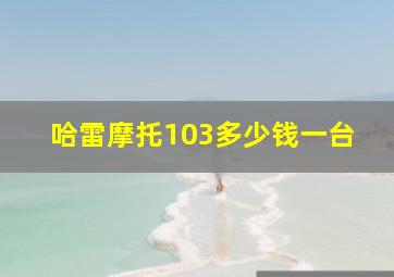 哈雷摩托103多少钱一台