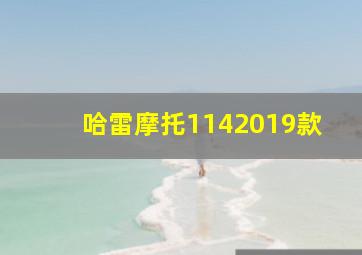 哈雷摩托1142019款