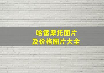 哈雷摩托图片及价格图片大全