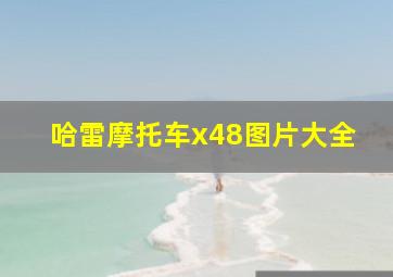 哈雷摩托车x48图片大全