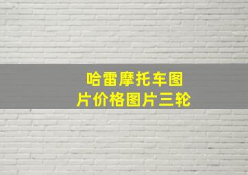 哈雷摩托车图片价格图片三轮