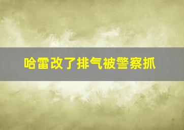 哈雷改了排气被警察抓