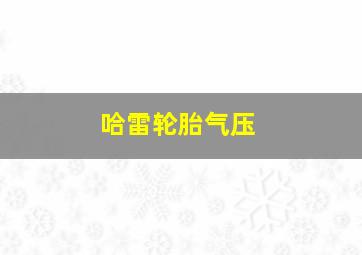 哈雷轮胎气压