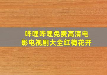 哔哩哔哩免费高清电影电视剧大全红梅花开