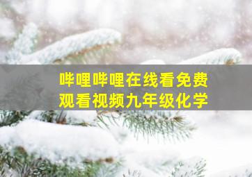 哔哩哔哩在线看免费观看视频九年级化学