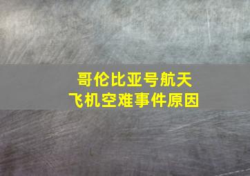 哥伦比亚号航天飞机空难事件原因