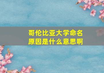 哥伦比亚大学命名原因是什么意思啊