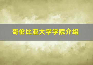 哥伦比亚大学学院介绍