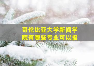 哥伦比亚大学新闻学院有哪些专业可以报