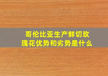 哥伦比亚生产鲜切玫瑰花优势和劣势是什么