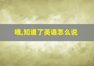 哦,知道了英语怎么说