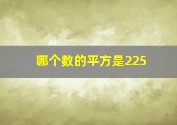 哪个数的平方是225