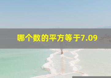 哪个数的平方等于7.09