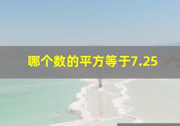 哪个数的平方等于7.25