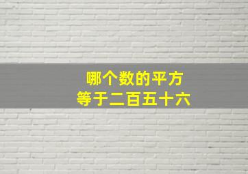 哪个数的平方等于二百五十六