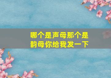 哪个是声母那个是韵母你给我发一下