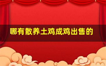 哪有散养土鸡成鸡出售的