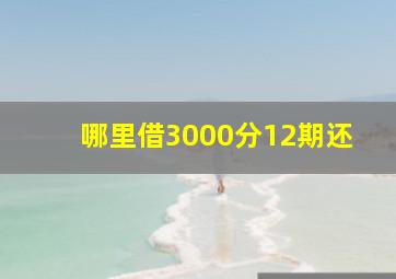 哪里借3000分12期还