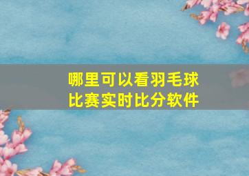 哪里可以看羽毛球比赛实时比分软件