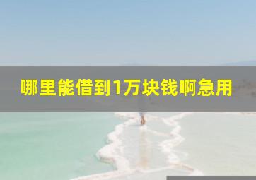 哪里能借到1万块钱啊急用