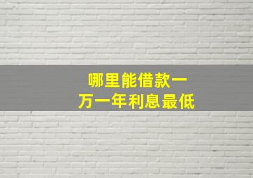 哪里能借款一万一年利息最低