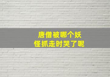 唐僧被哪个妖怪抓走时哭了呢