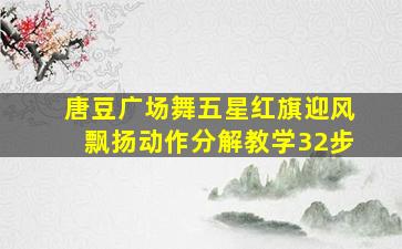 唐豆广场舞五星红旗迎风飘扬动作分解教学32步