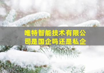 唯特智能技术有限公司是国企吗还是私企