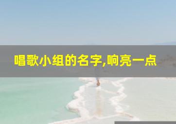 唱歌小组的名字,响亮一点