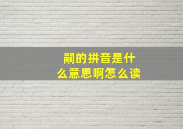 嗣的拼音是什么意思啊怎么读