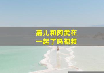 嘉儿和阿武在一起了吗视频