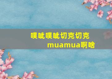 噗呲噗呲切克切克muamua啊啥