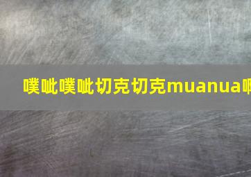 噗呲噗呲切克切克muanua啊