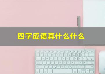 四字成语真什么什么