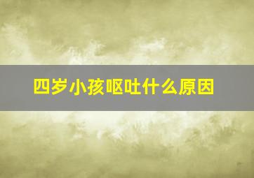 四岁小孩呕吐什么原因