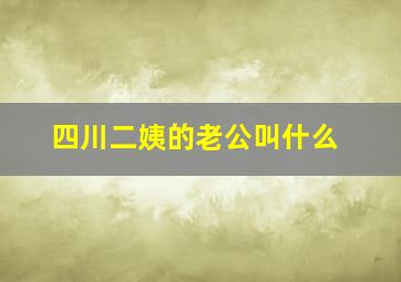 四川二姨的老公叫什么