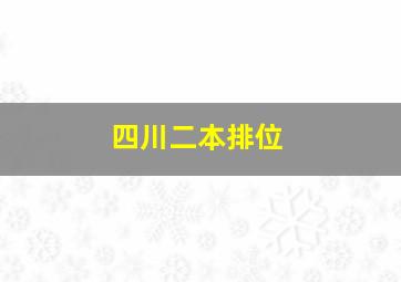 四川二本排位