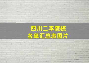 四川二本院校名单汇总表图片