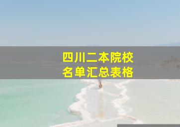 四川二本院校名单汇总表格