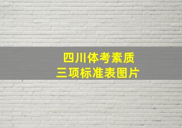 四川体考素质三项标准表图片