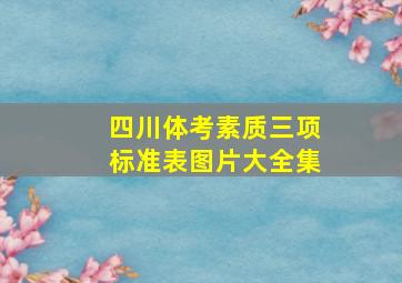 四川体考素质三项标准表图片大全集