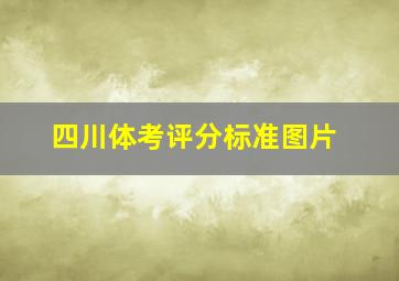 四川体考评分标准图片