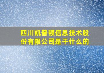 四川凯普顿信息技术股份有限公司是干什么的