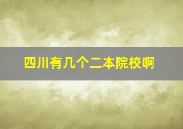 四川有几个二本院校啊