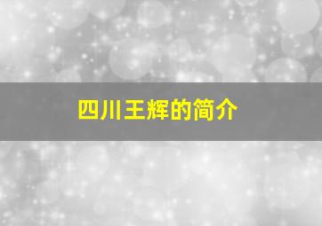 四川王辉的简介