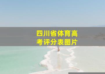 四川省体育高考评分表图片