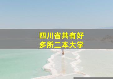 四川省共有好多所二本大学