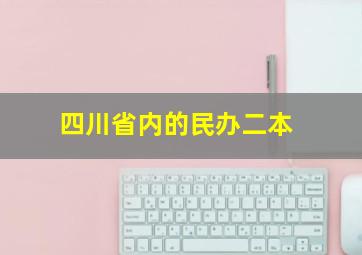 四川省内的民办二本